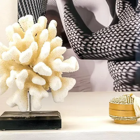 Tatil Evi Ca Na Kika 5